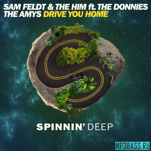 Sam Feldt, The Him, The Donnies The Amys - Drive You Home (Original Mix)