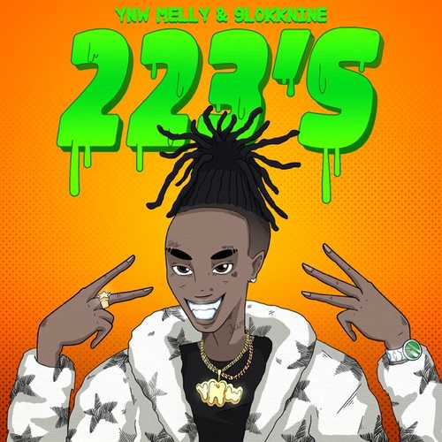 YNW Melly - 223's (feat. 9lokknine)