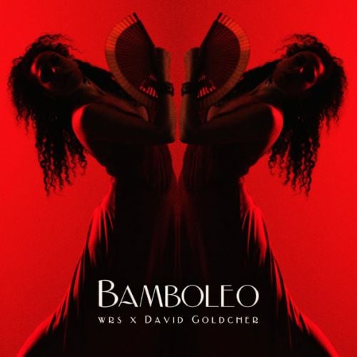 WRS - Bamboleo (feat. David Goldcher)