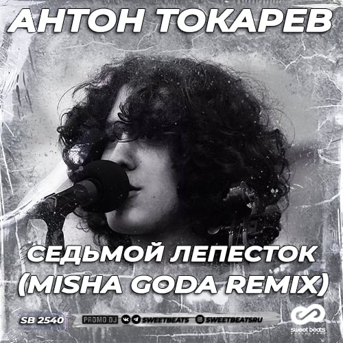 Антон Токарев - Седьмой Лепесток (Misha Goda Remix)