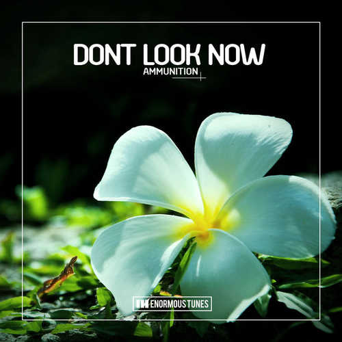 Dont Look Now - Ammunition (Fort Arkansas Remix)