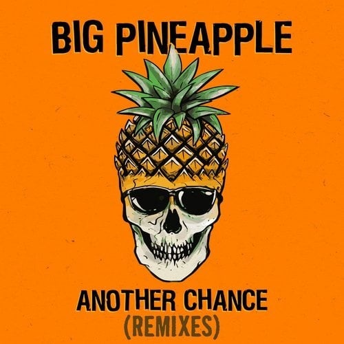 Big Pineapple - Another Chance (Don Diablo Chill Mix)