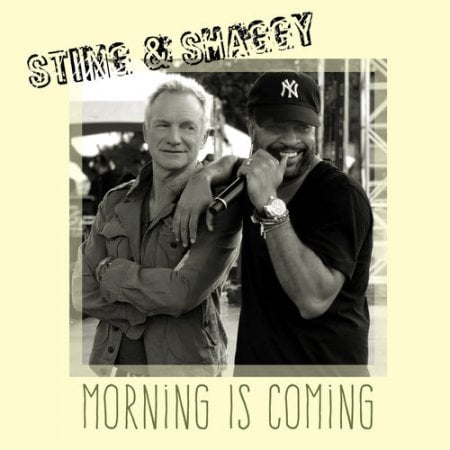 Sting - Morning Is Coming (feat. Shaggy)