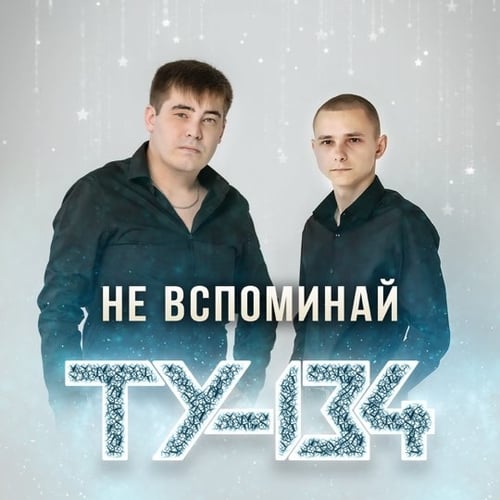 Ту-134 - Анютины Глазки