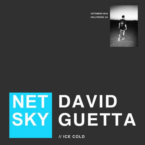 Netsky - Ice Cold (feat. David Guetta)