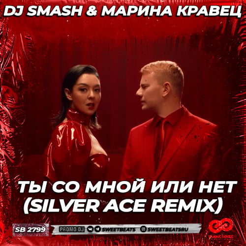 DJ Smash, Марина Кравец - Ты Со Мной Или Нет (Silver Ace Remix)