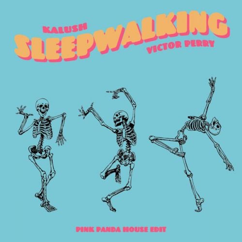 Kalush, Victor Perry - Sleepwalking (Pink Panda House Edit)