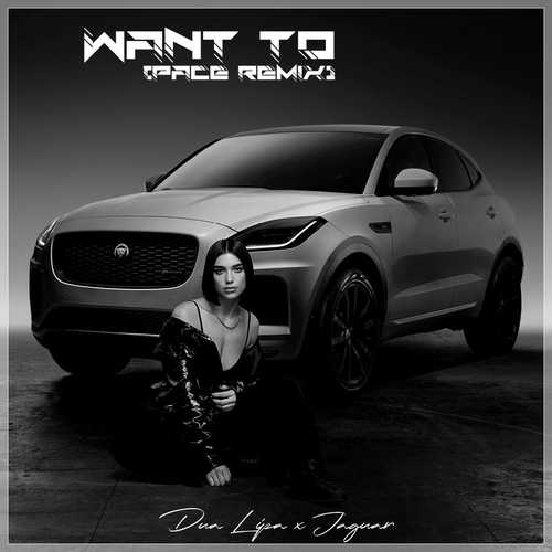 Dua Lipa, Jaguar - Want To (Pace Remix)