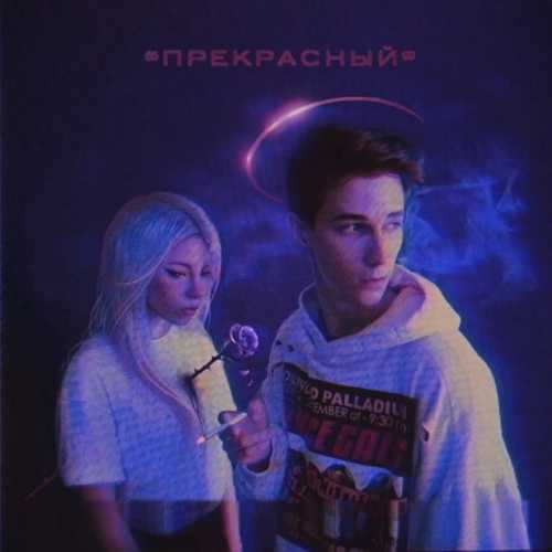 Перфе - Занято