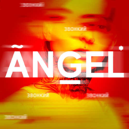 Звонкий - Angel