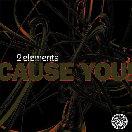 2Elements - Cause You! (2Elements Mix)