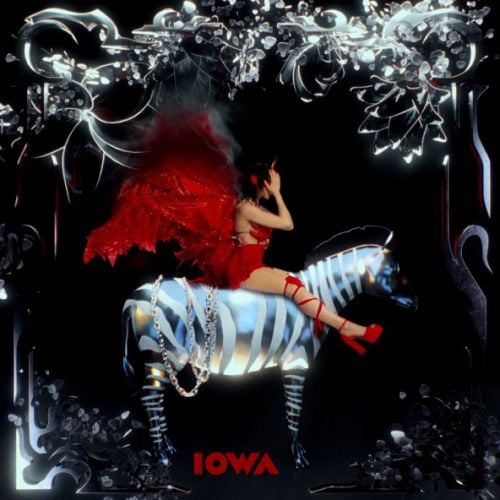 IOWA - Зебра