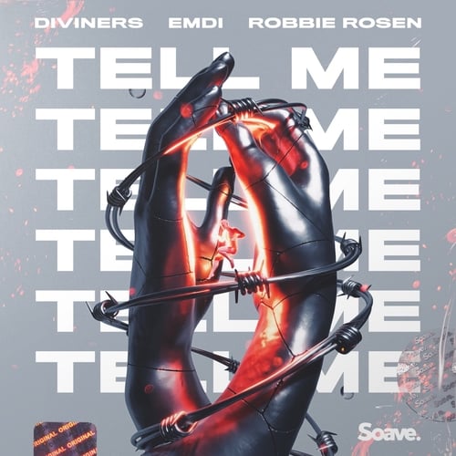 Diviners - Tell Me (feat. Emdi & Robbie Rosen)