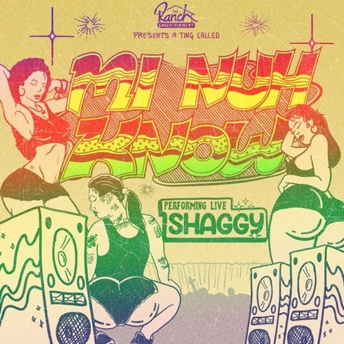 Shaggy - Mi Nuh Know