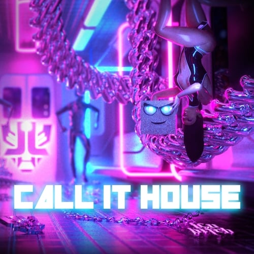 Laidback Luke, DJs From Mars - Call It House (Extended Mix)