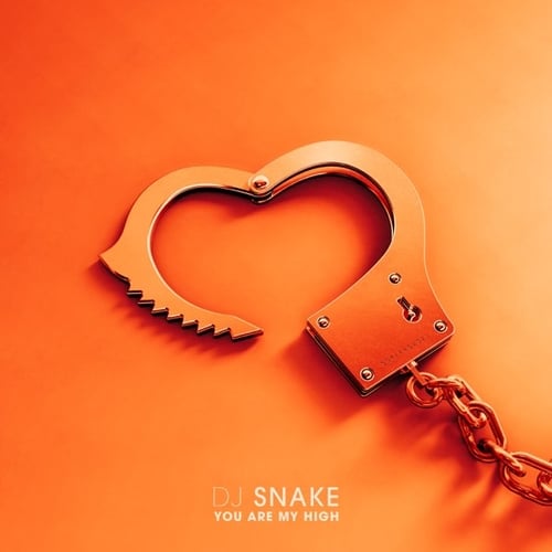 DJ Snake - You Are My High