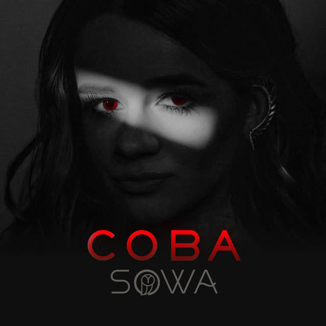 SOWA - Сова