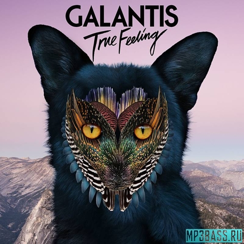 Galantis - True Feeling