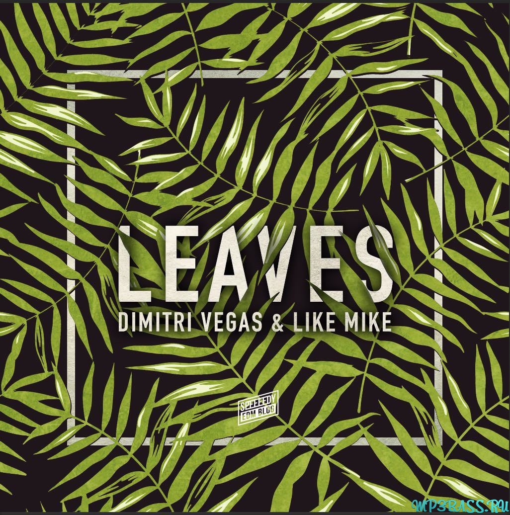 Dimitri Vegas, Like Mike - Leaves (Original Mix)