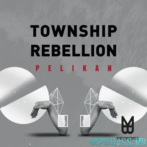 Township Rebellion - Pelikan (Original Mix)