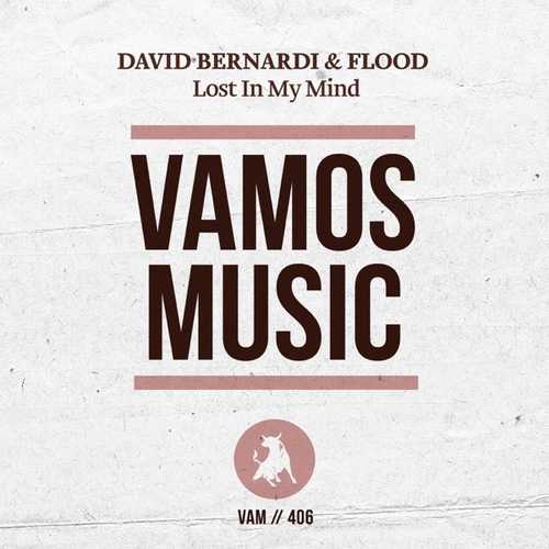 David Bernardi, Flood - Lost In My Mind (Original Mix)